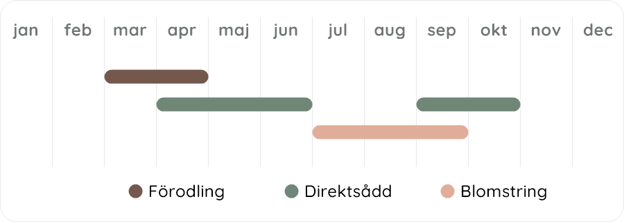 Växtdiagram