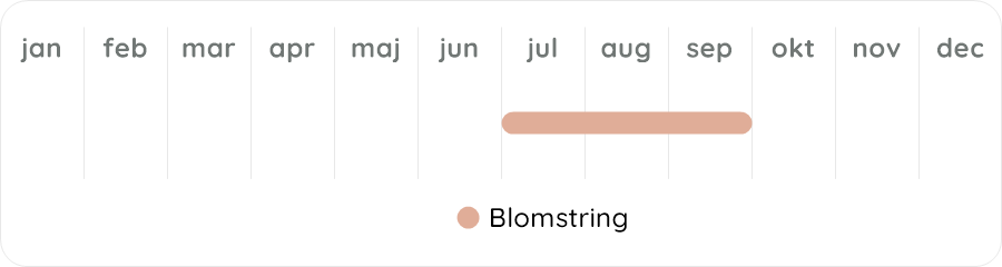 Växtdiagram