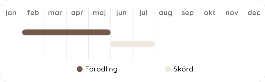 Växtdiagram