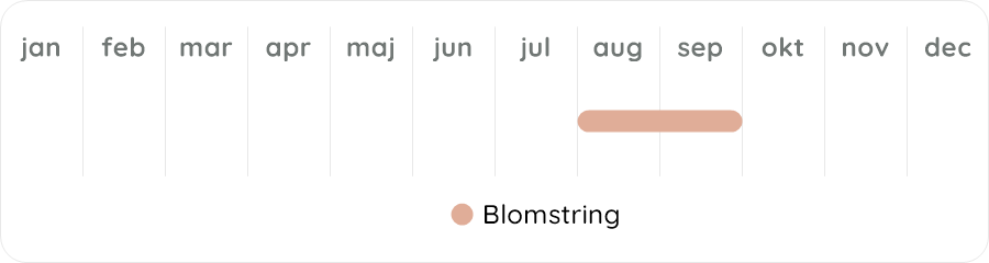 Växtdiagram