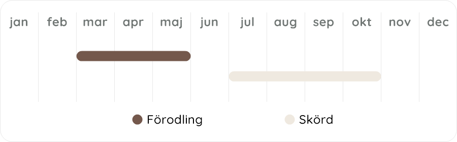 Växtdiagram