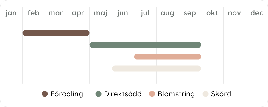 Växtdiagram