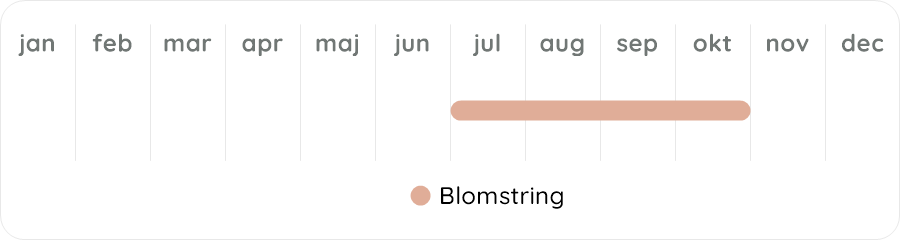 Växtdiagram