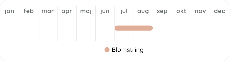 Växtdiagram