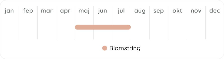 Växtdiagram