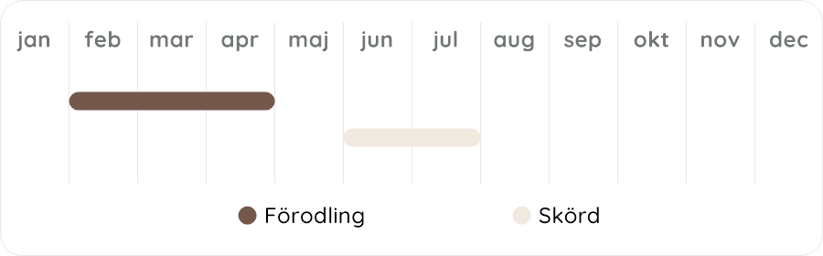 Växtdiagram