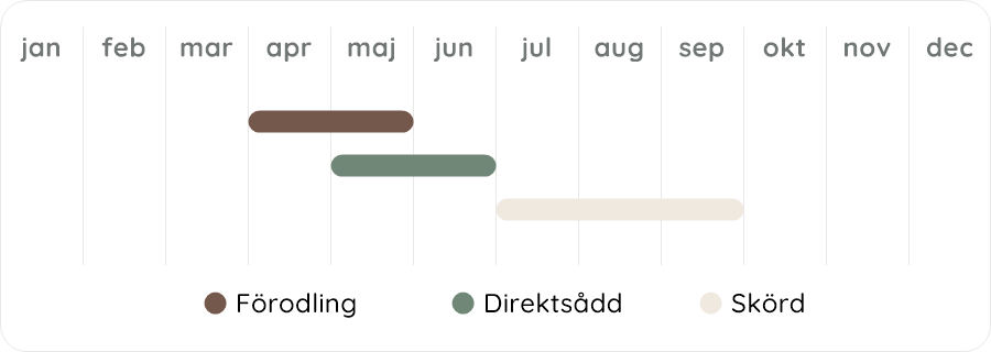 Växtdiagram