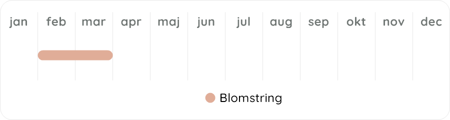 Växtdiagram