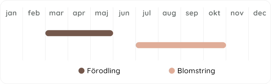 Växtdiagram