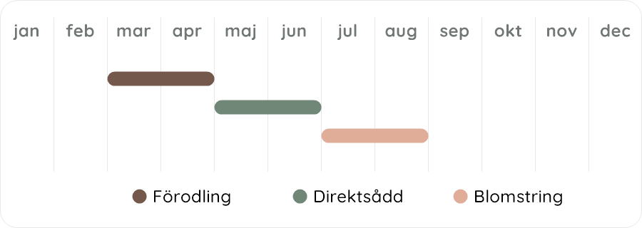 Växtdiagram