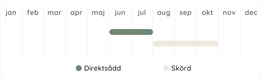 Växtdiagram