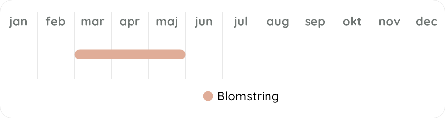 Växtdiagram