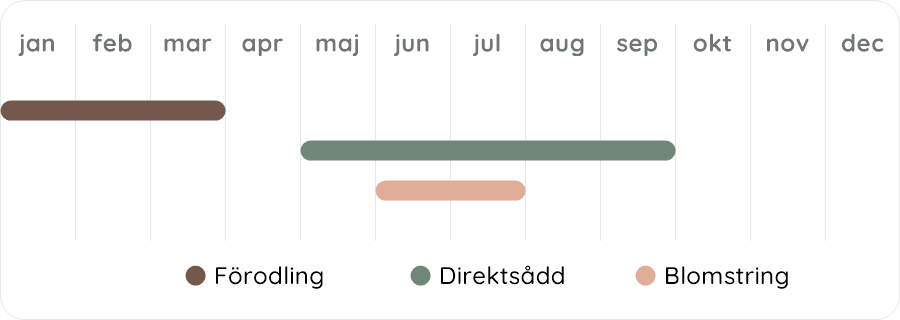 Växtdiagram