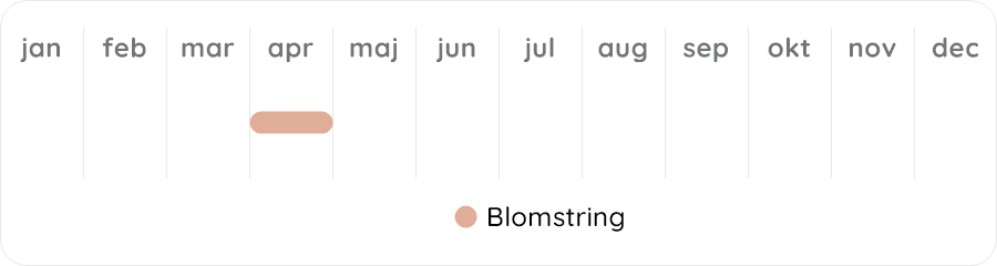 Växtdiagram