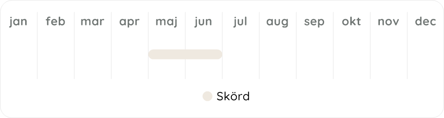 Växtdiagram