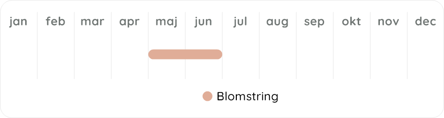 Växtdiagram