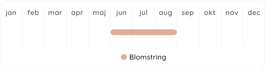 Växtdiagram