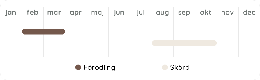 Växtdiagram