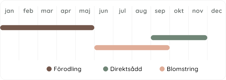 Växtdiagram
