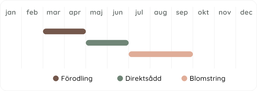 Växtdiagram