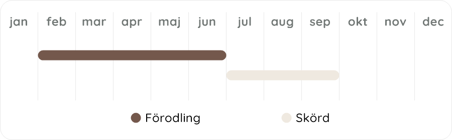Växtdiagram