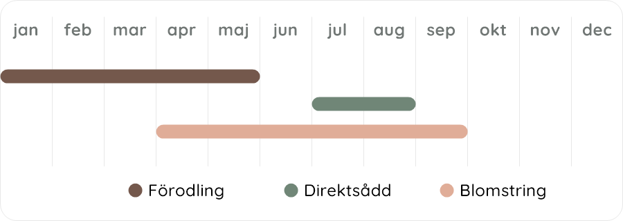 Växtdiagram