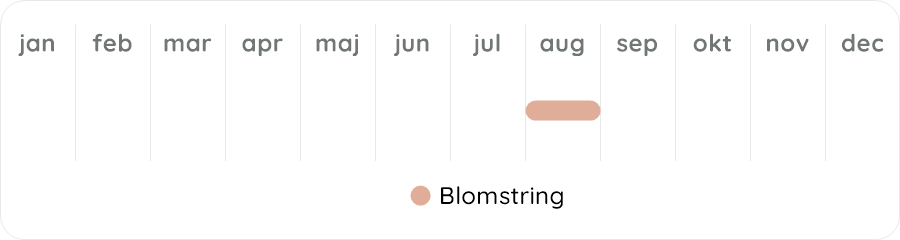 Växtdiagram
