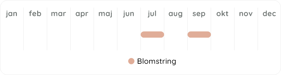 Växtdiagram