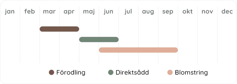 Växtdiagram