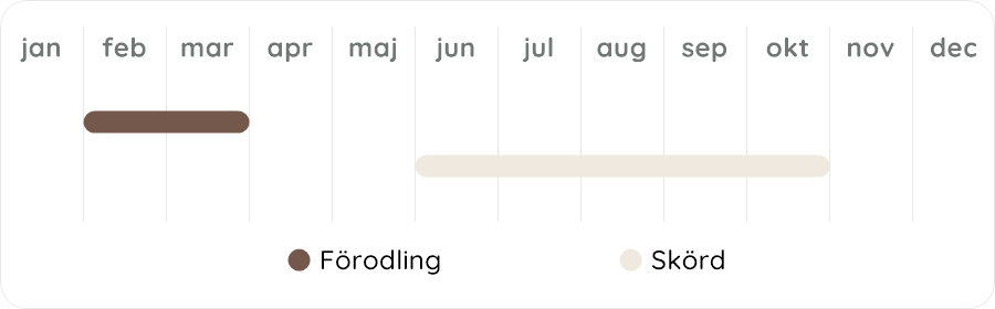 Växtdiagram