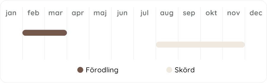 Växtdiagram