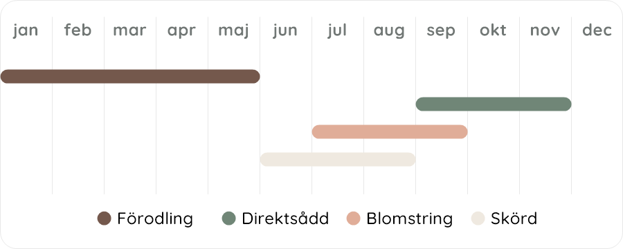 Växtdiagram