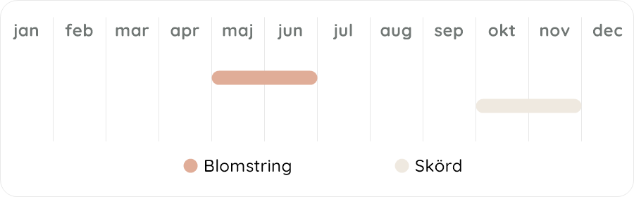 Växtdiagram