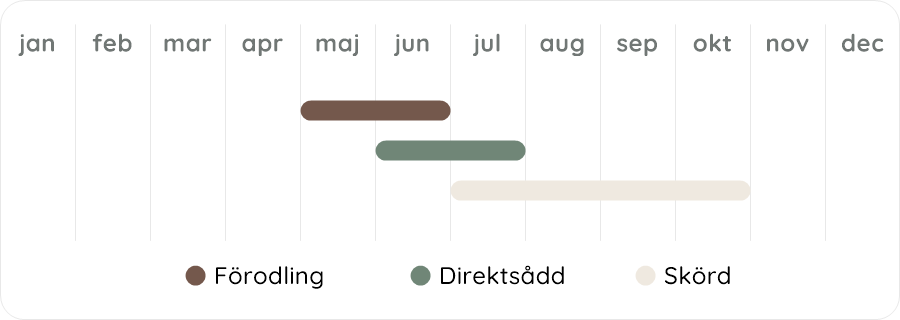 Växtdiagram