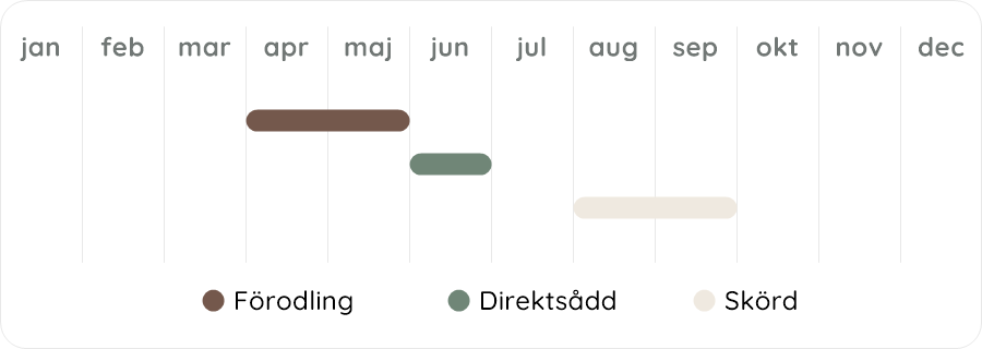 Växtdiagram