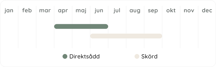 Växtdiagram