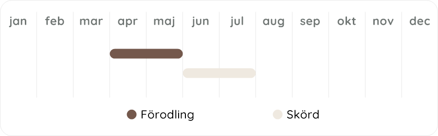 Växtdiagram