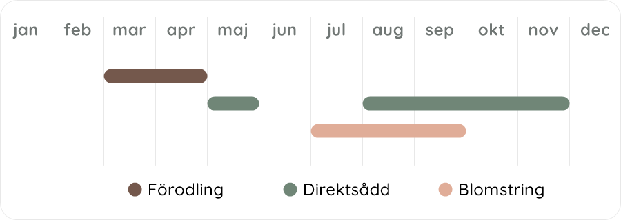 Växtdiagram