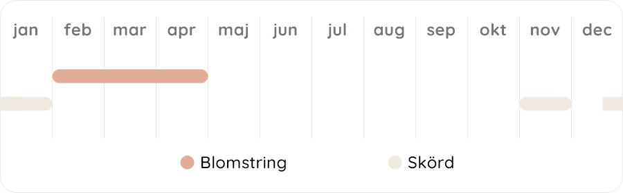 Växtdiagram