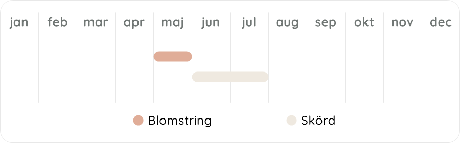 Växtdiagram