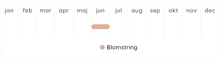 Växtdiagram