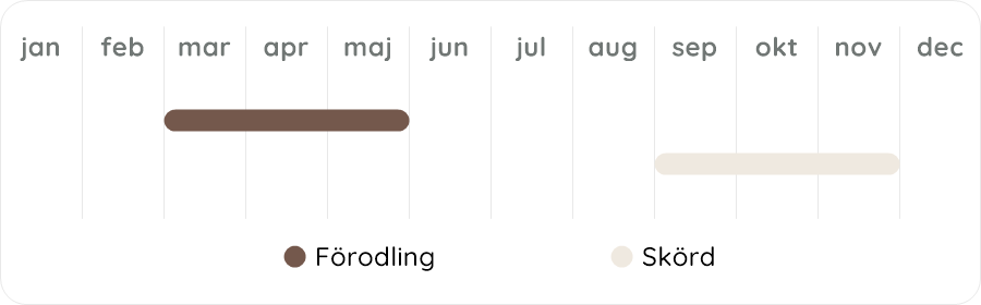 Växtdiagram