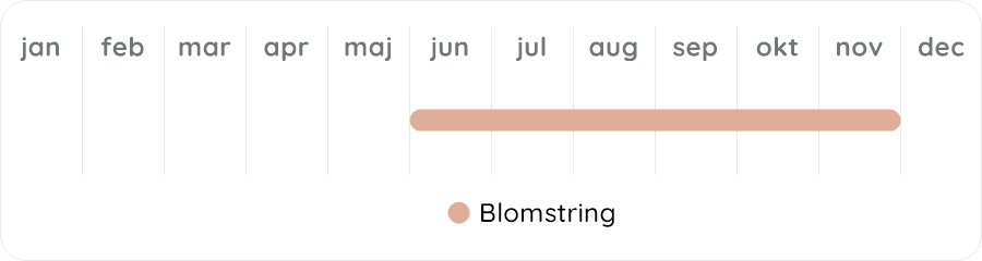 Växtdiagram