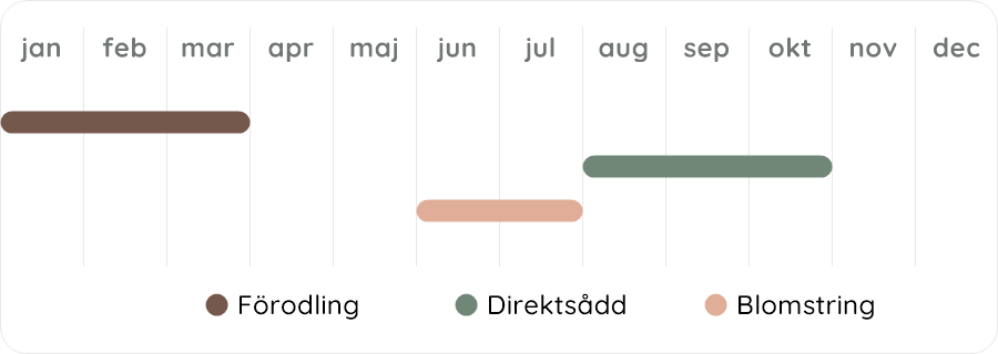 Växtdiagram