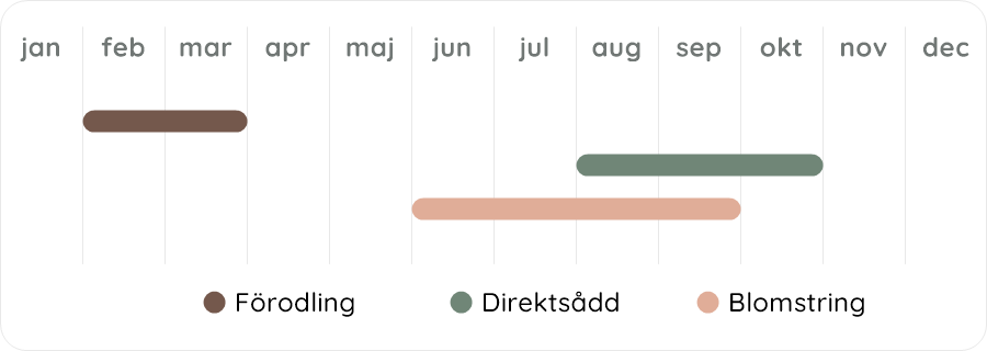 Växtdiagram