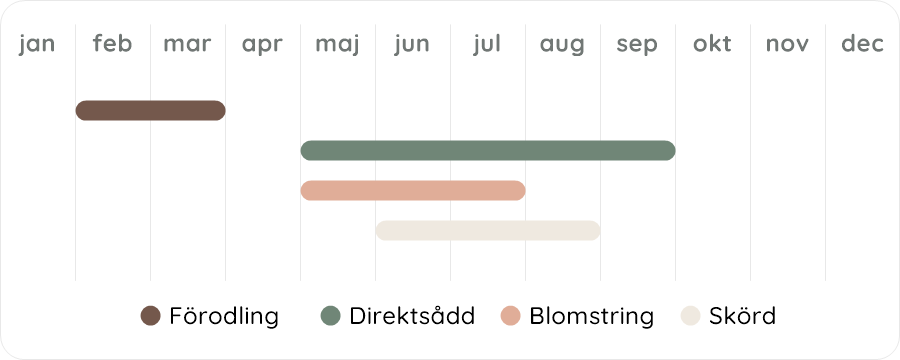 Växtdiagram