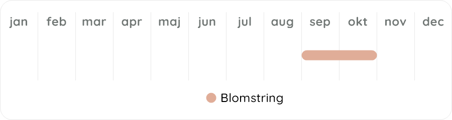 Växtdiagram