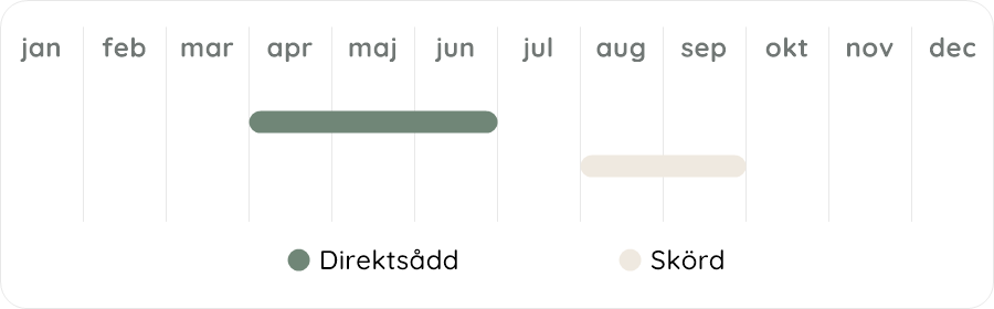 Växtdiagram