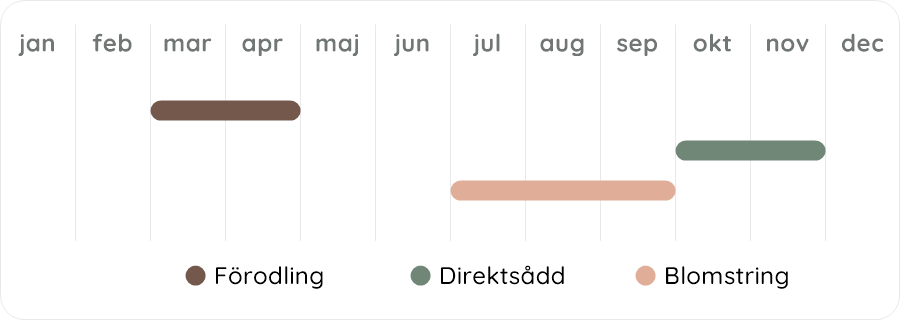 Växtdiagram