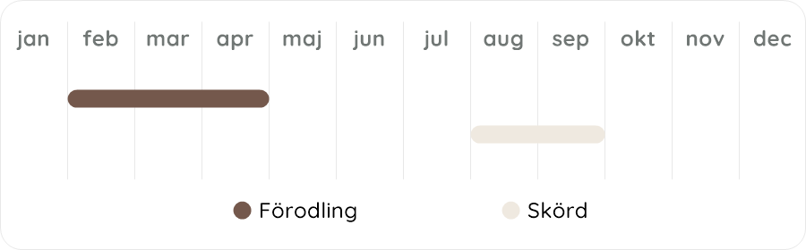 Växtdiagram